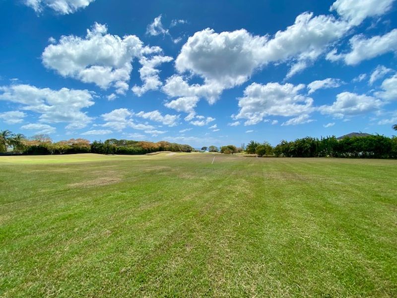 Estate Agents in Barbados Ron Karp Realty